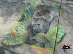 Read more about the article Earth Fest Chalk Art 2009