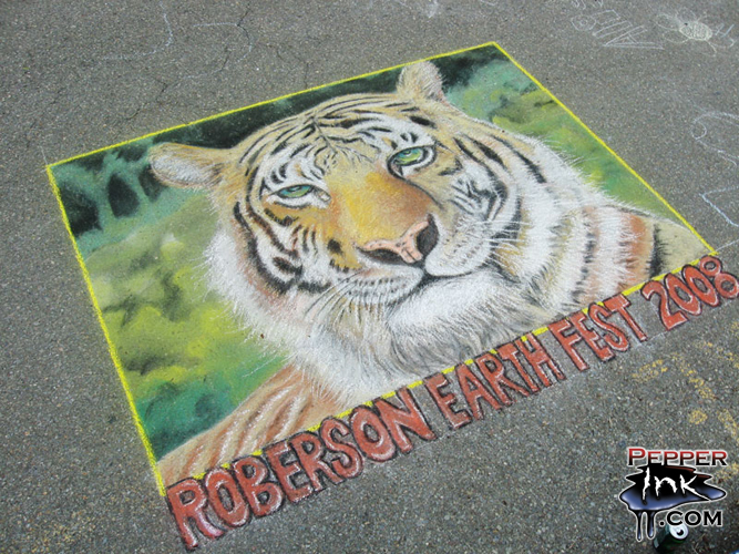 Read more about the article Earth Fest Chalk Art 2008